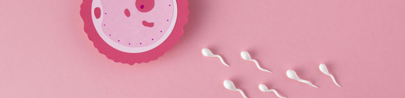 flat-lay-fertility-concept-with-pink-background