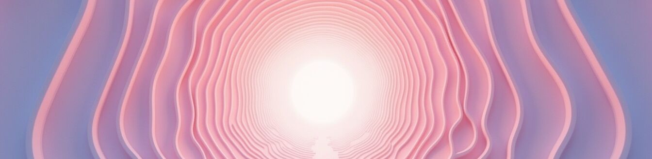 Plastika poševního vchodu2