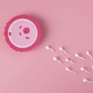flat-lay-fertility-concept-with-pink-background